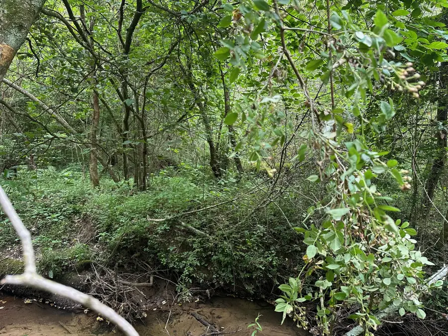 10 Sr 108, Gruetli Laager, TN 37339 - Image #3