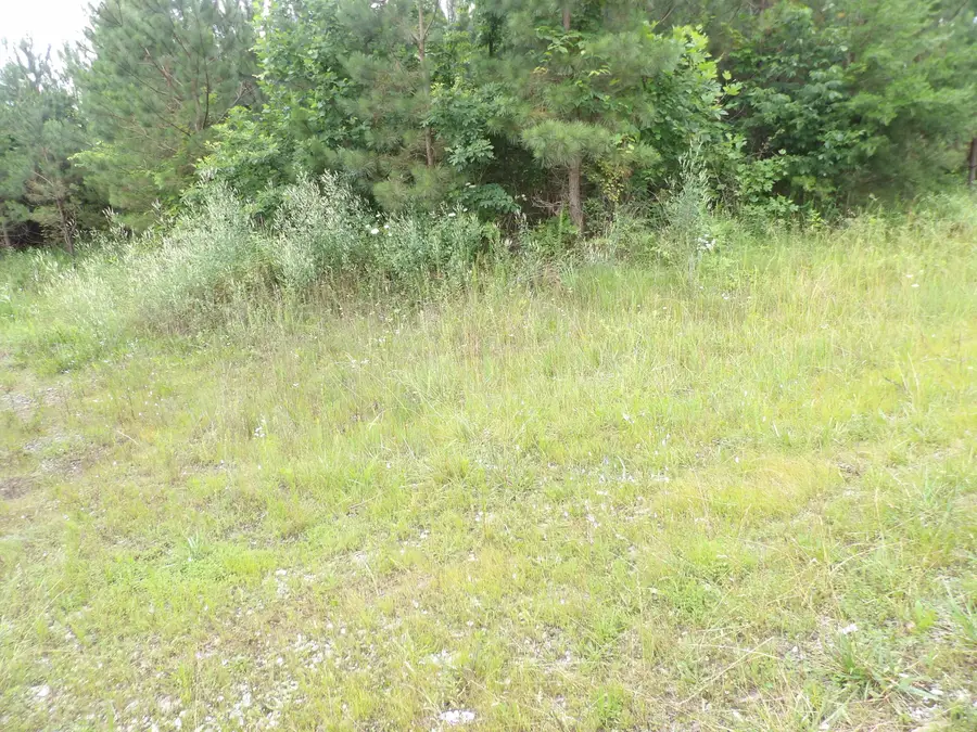#3