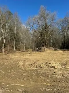 21.25 Chestnut Valley Road, Vonore, TN 37885 - Image #1