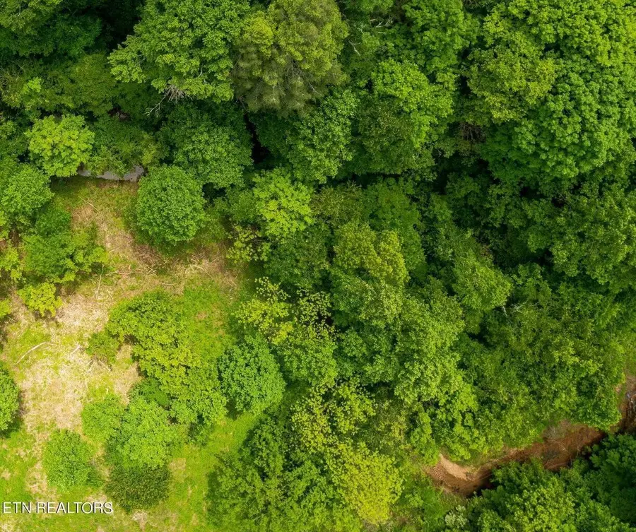 21.25 Chestnut Valley Road, Vonore, TN 37885 - Image #2