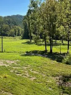 40.41 Chestnut Valley Road, Vonore, TN 37885 - Image #2
