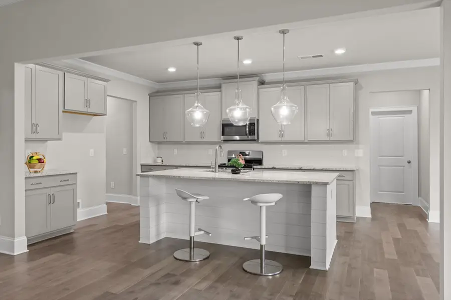 10787 Prairie Lake Drive, Apison, TN 37302 - Image #3