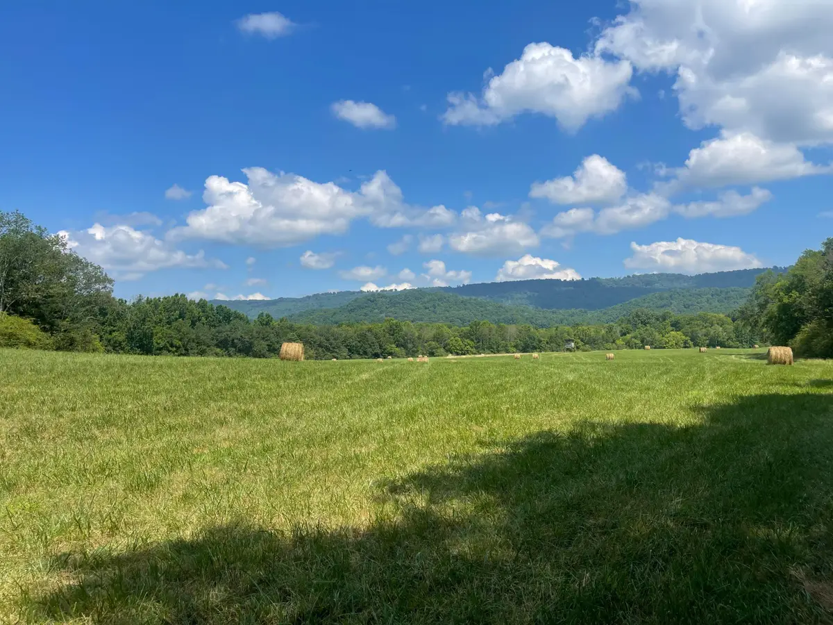 0 County Road 494, Bryant, AL 35958 - #1