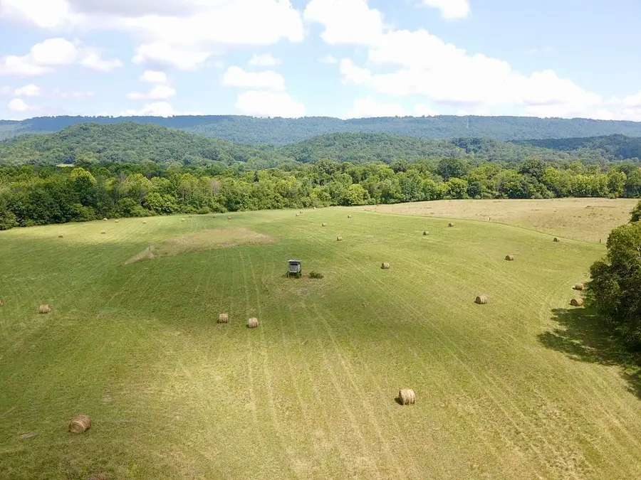 0 County Road 494, Bryant, AL 35958 - #2