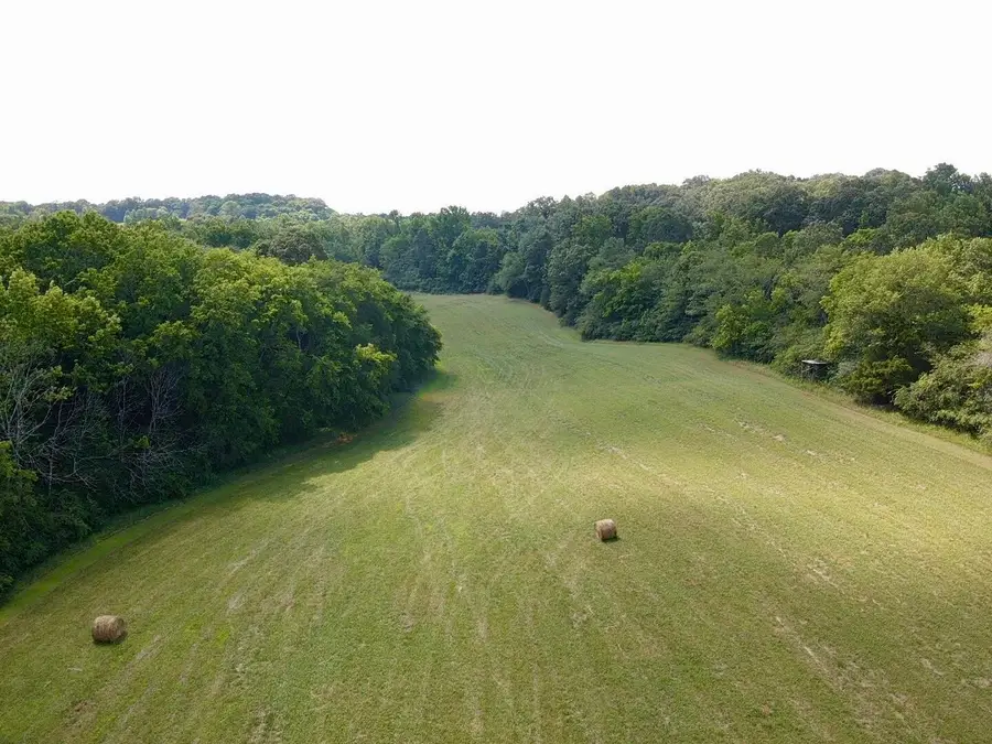 0 County Road 494, Bryant, AL 35958 - #3
