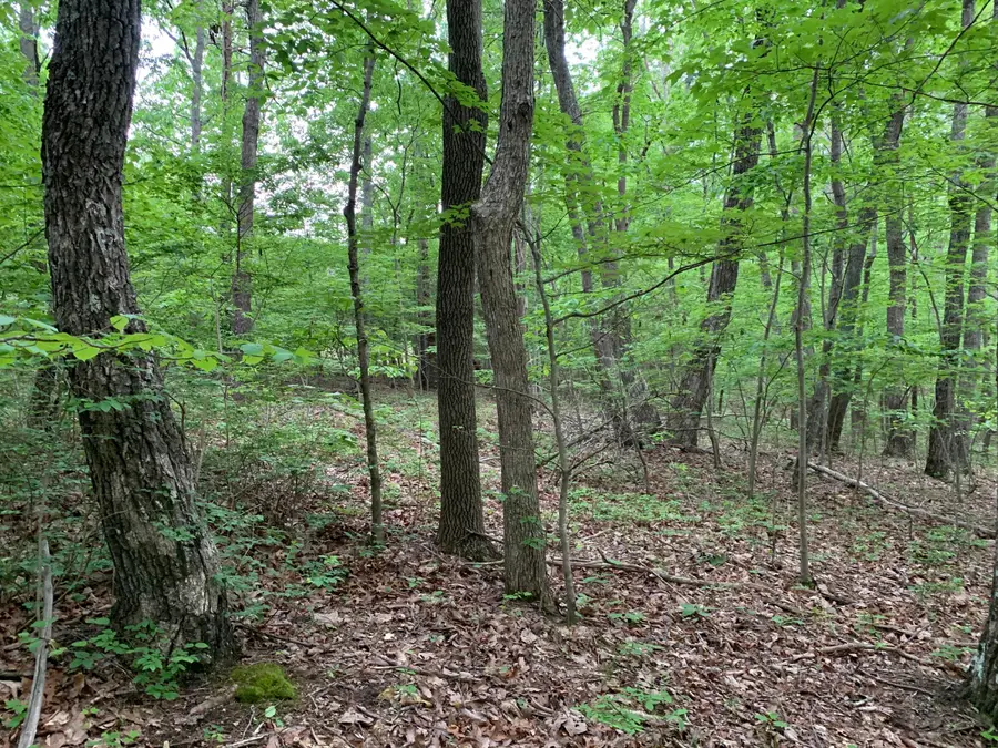 #3