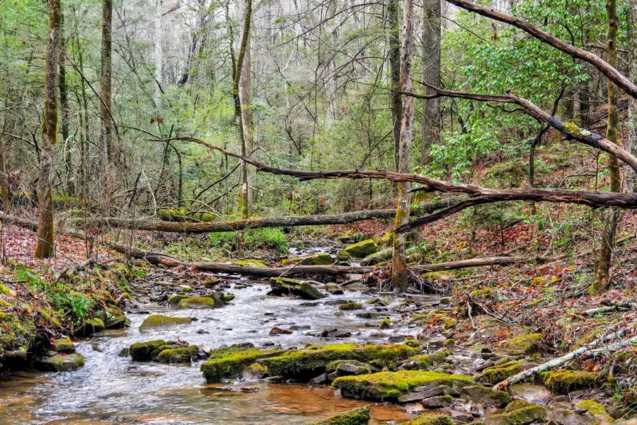 2424 Corral Road, Signal Mountain, TN 37377 - #2