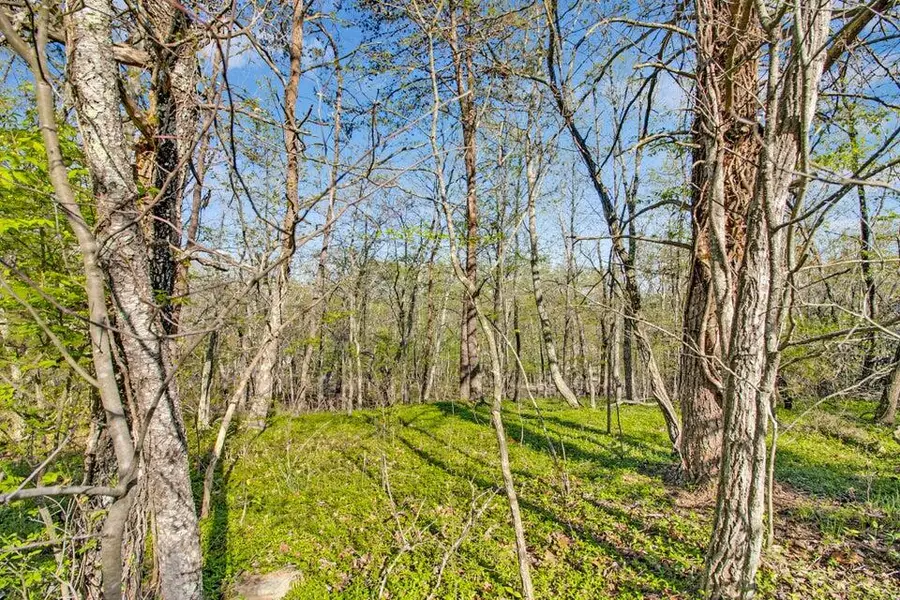 165 Brokenwood Lane, Crossville, TN 38558 - Image #2