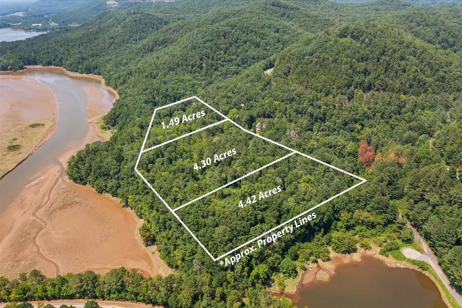 00 Sun Mountain Road, Chatsworth, GA 30705 - #2