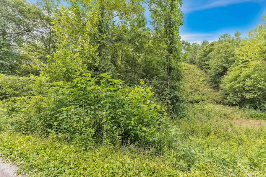 521 Archville Road, Reliance, TN 37369 - Image #3