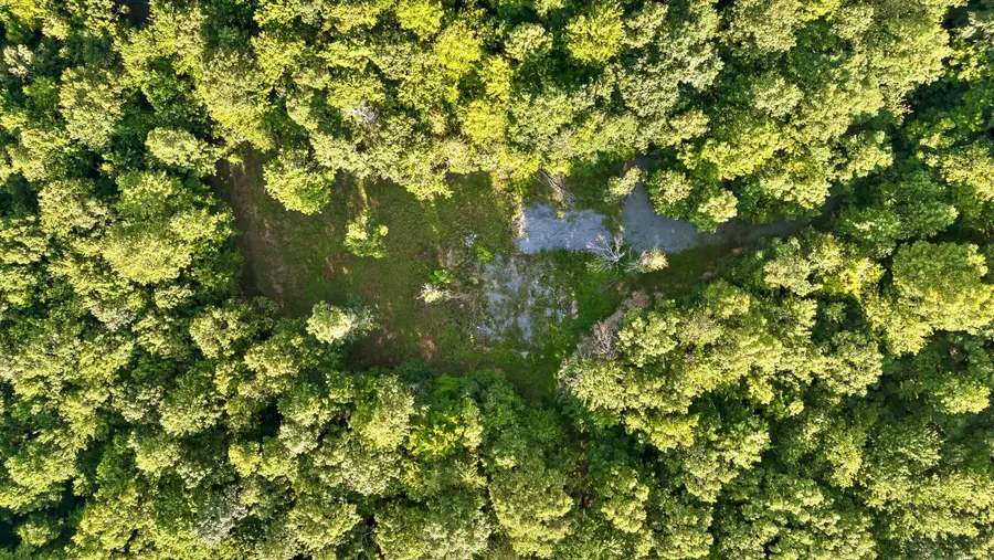 89 No Name Drive, Dunlap, TN 37327 - Image #3