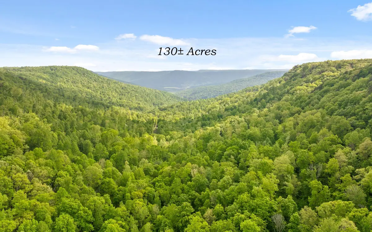7335 S Pittsburg Mountain Road, South Pittsburg, TN 37380 - #1