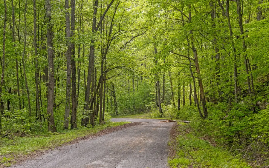 7335 S Pittsburg Mountain Road, South Pittsburg, TN 37380 - #2