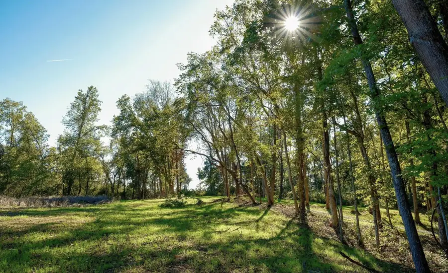 9b Sturgeon Creek Road, Cedar Hill, TN 37032 - Image #2