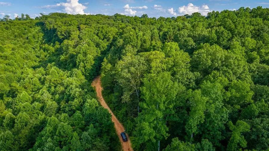 359 Co Rd 4, Calhoun, TN 37309 - Image #3