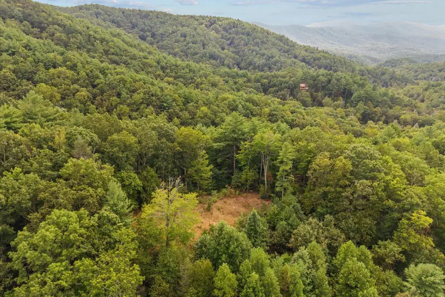 0 Grassy Mountain Road, Chatsworth, GA 30705 - Image #2