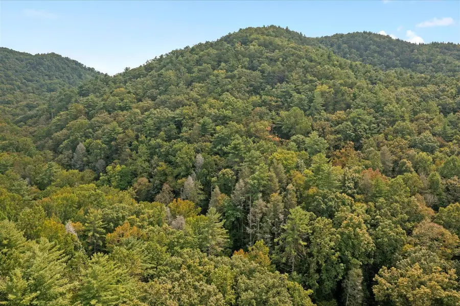 0 Grassy Mountain Road, Chatsworth, GA 30705 - Image #3