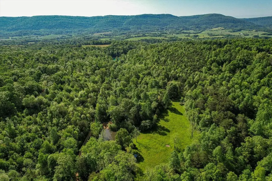 100 Ac Mill Dam Road, Pikeville, TN 37367 - Image #2