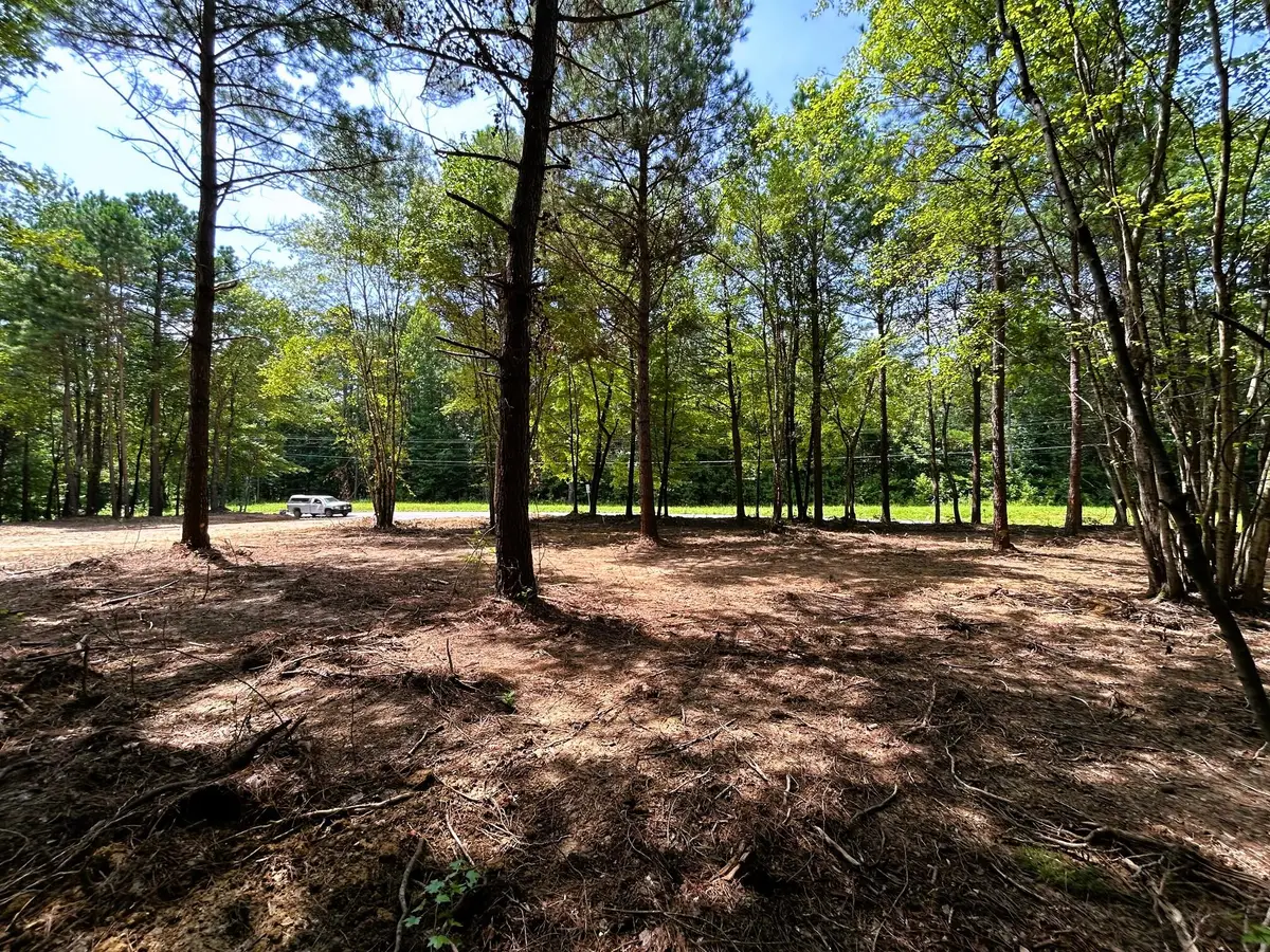 Lot 3 Highway 304, Ten Mile, TN 37880 - Image #1