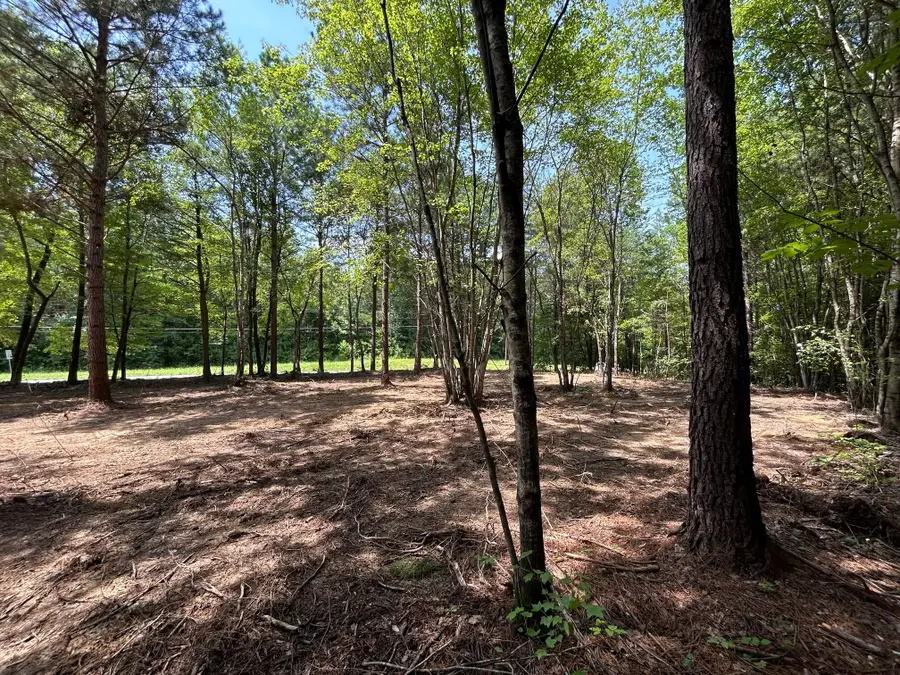Lot 3 Highway 304, Ten Mile, TN 37880 - Image #2