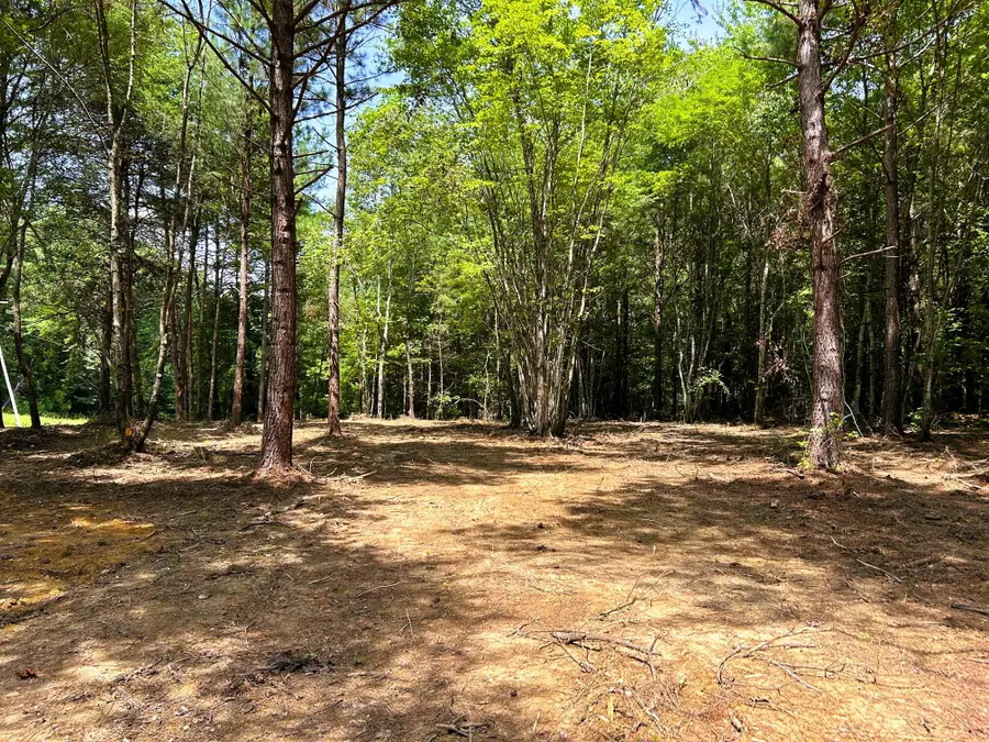 Lot 3 Highway 304, Ten Mile, TN 37880 - Image #3
