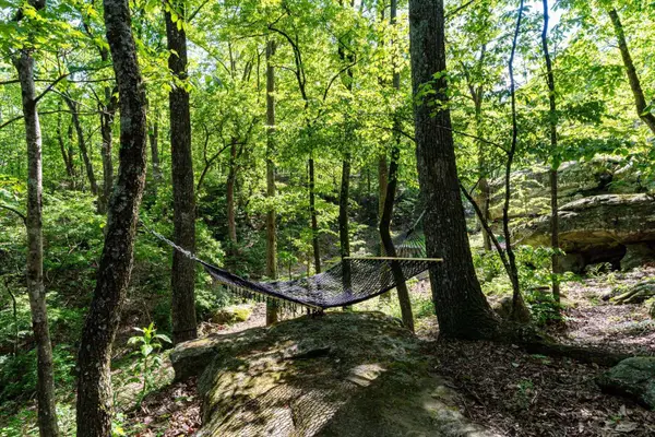 314 Fairy Trail, Lookout Mountain, TN 37350