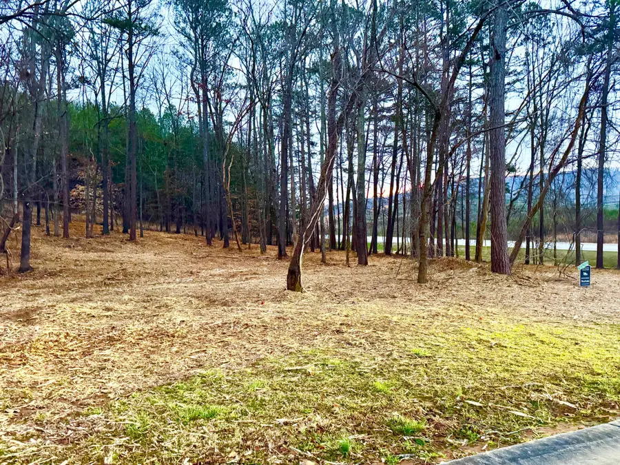 1 Magnolia Court, Summerville, GA 30747 - Image #2