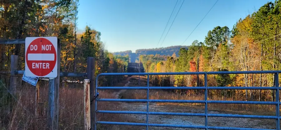 0 Budapest Rd Road, Tallapoosa, GA 30176 - Image #3