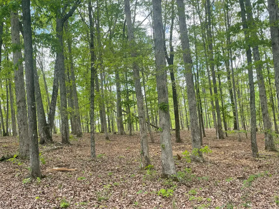 133 Shelton Cemetery Road, Cumberland Furnace, TN 37051 - Image #2