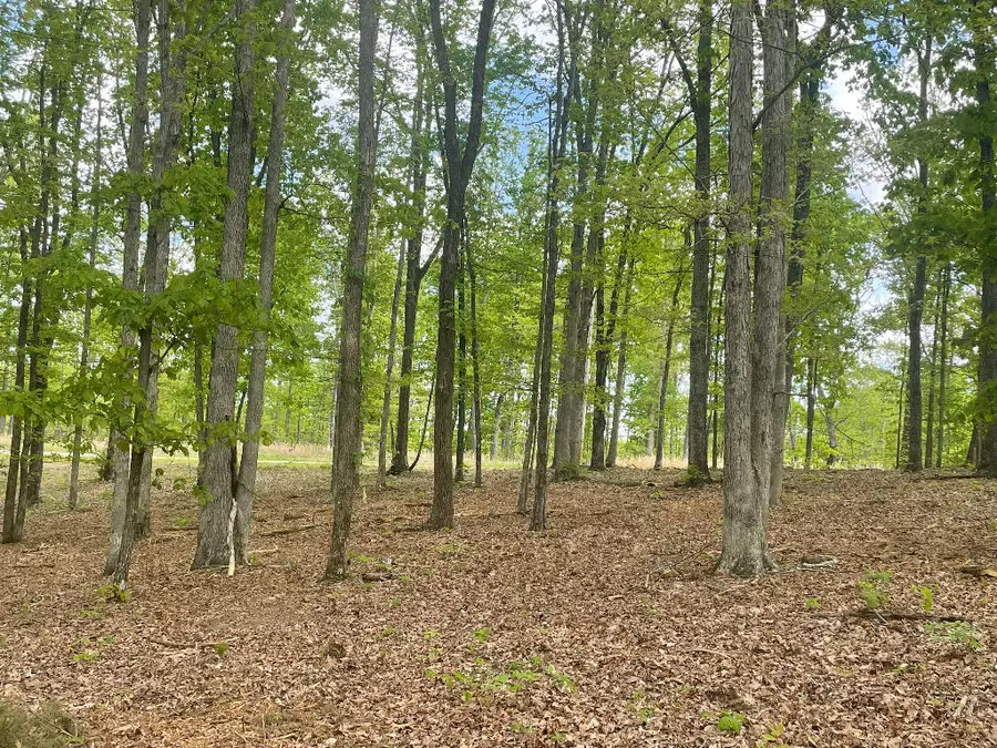 133 Shelton Cemetery Road, Cumberland Furnace, TN 37051 - Image #3