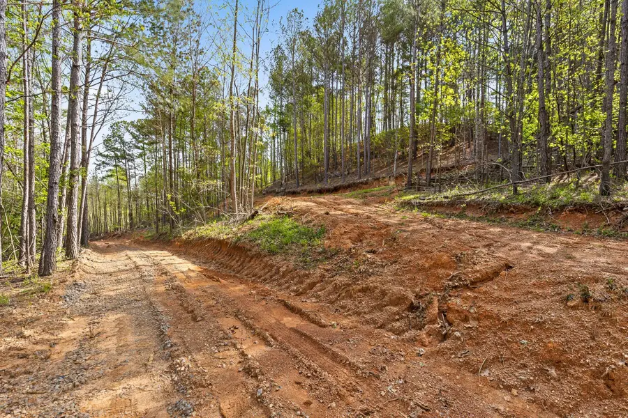 Tract 1 S Hwy 411 Road, Chatsworth, GA 30705 - Image #3