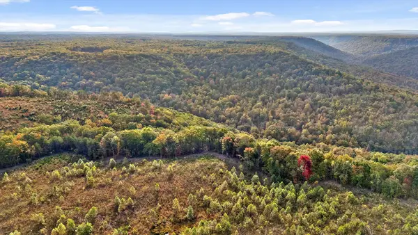 0 Roberts Road, Spencer, TN 38585