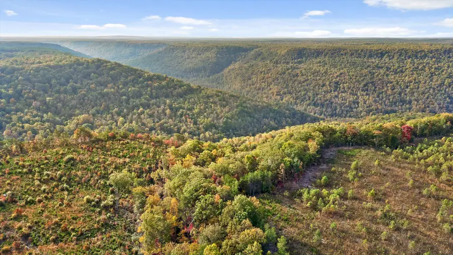 0 Roberts Road, Spencer, TN 38585 - Image #3