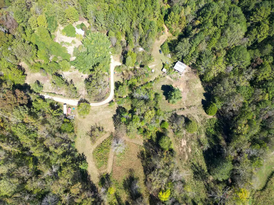 623 County Road 798, Valley Head, AL 35989 - Image #2