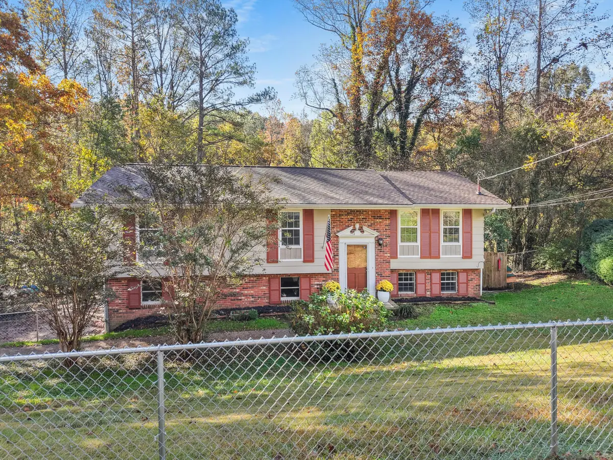 184 Cinderella Drive, Flintstone, GA 30725 - Image #1