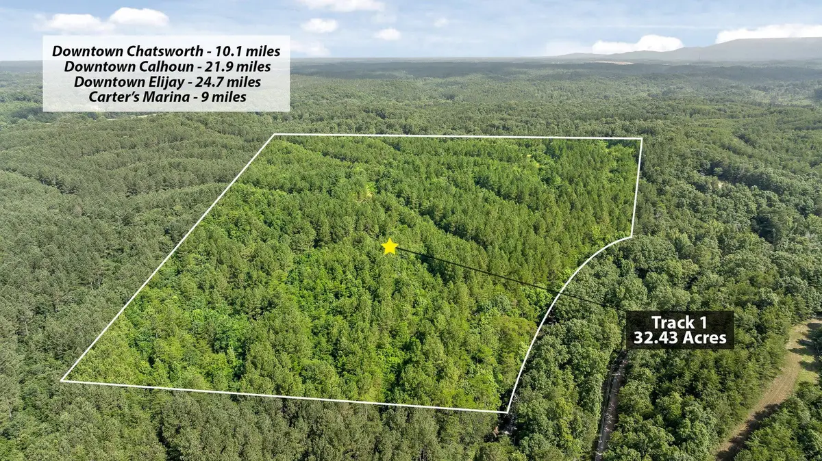 Tract 1 Conniston Road, Chatsworth, GA 30705 - Image #1