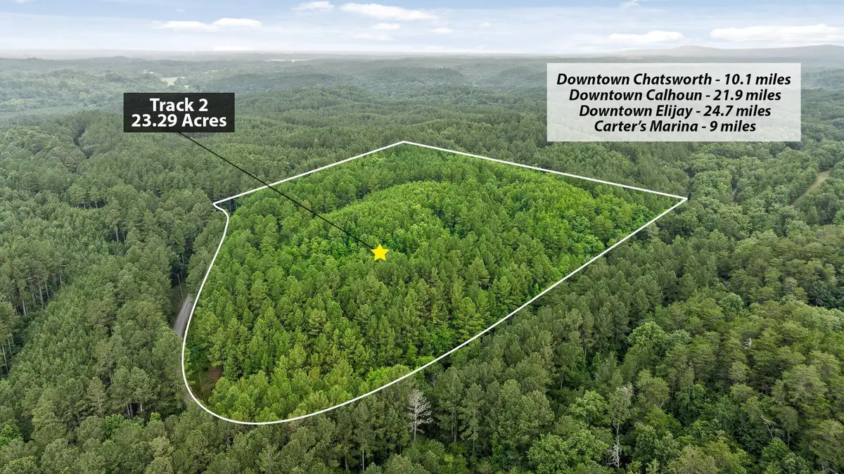 Tract 2 Conniston Road, Chatsworth, GA 30705 - Image #1