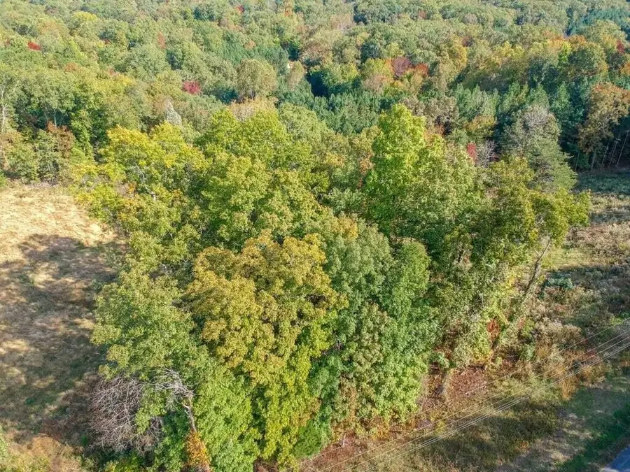 Lot 272 Spruce Drive, Spring City, TN 37381 - #2