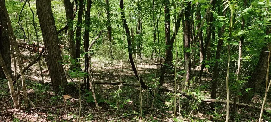 0 Coburntown (lot 11) Road, South Pittsburg, TN 37380 - Image #2