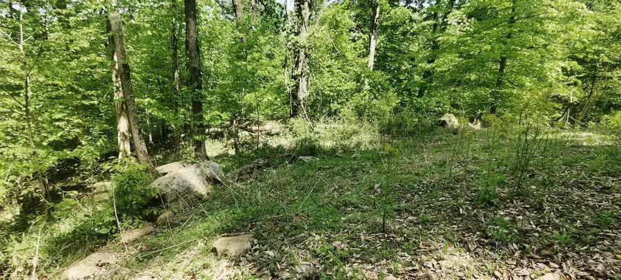 0 Coburntown (lot 13) Road, South Pittsburg, TN 37380 - Image #3