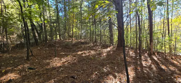 27 Foster Boulevard, LaFayette, GA 30728