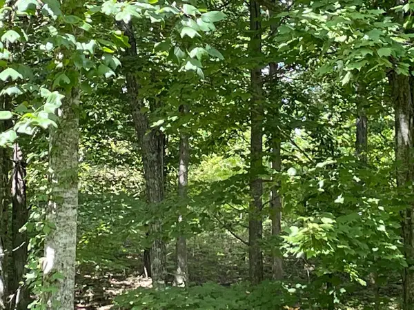0 Roaring Creek Road #296, Dunlap, TN 37327