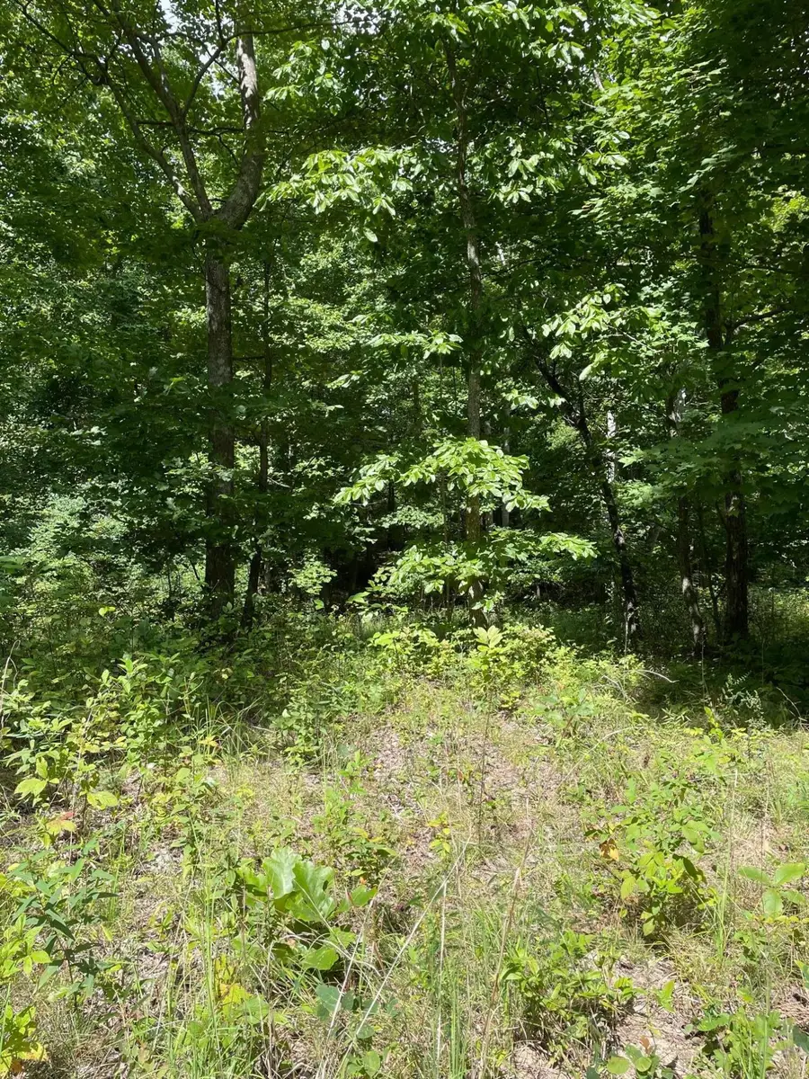 0 Roaring Creek Road #296, Dunlap, TN 37327 - #2