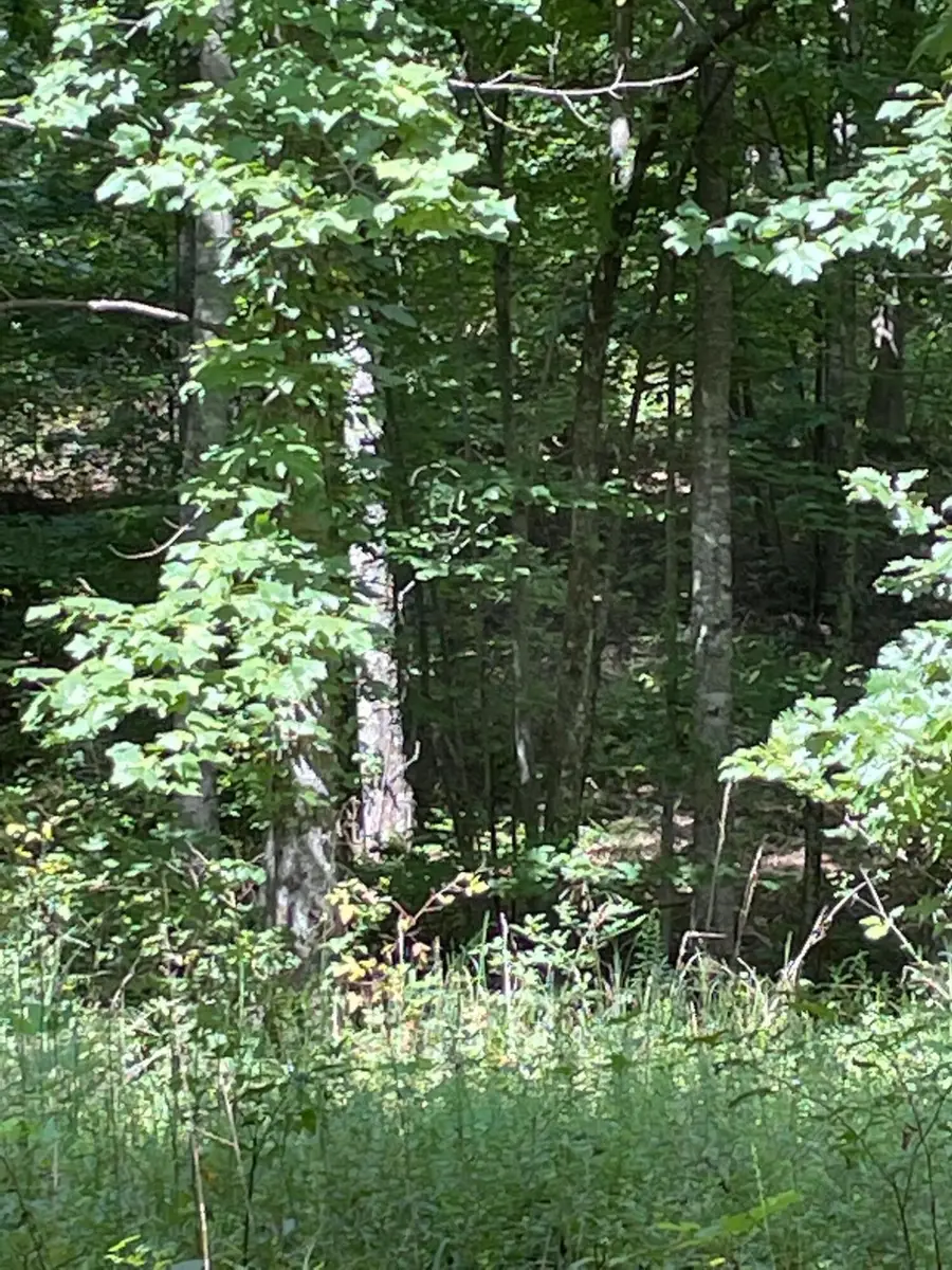 0 Roaring Creek Road #296, Dunlap, TN 37327 - #3