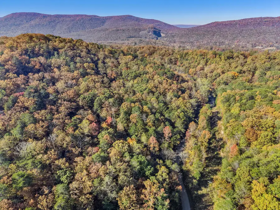 2429 Shinbone Ridge Road, Lafayette, GA 30728 - Image #3