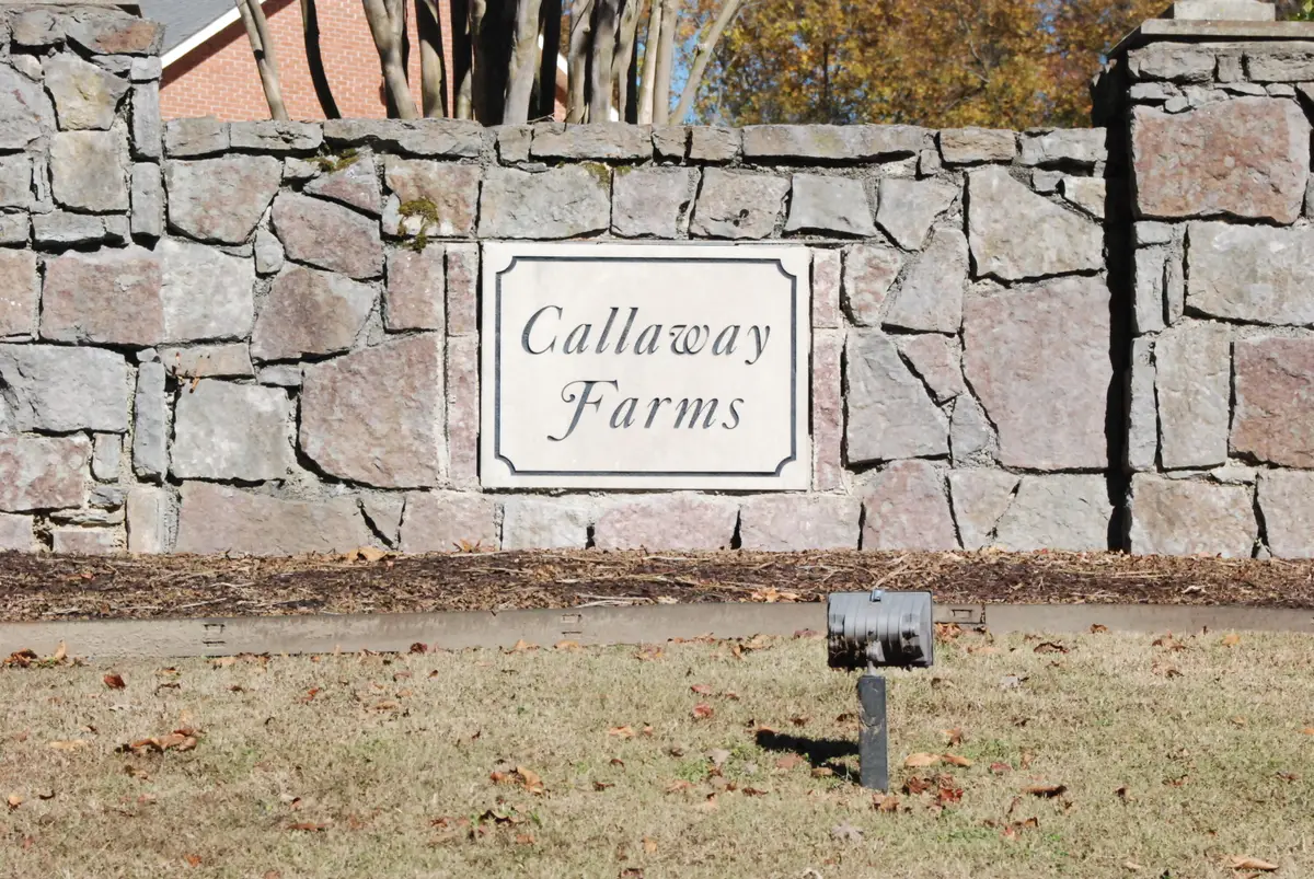 Lot 79 Morning Glory Drive, Ringgold, GA 30736 - Image #1