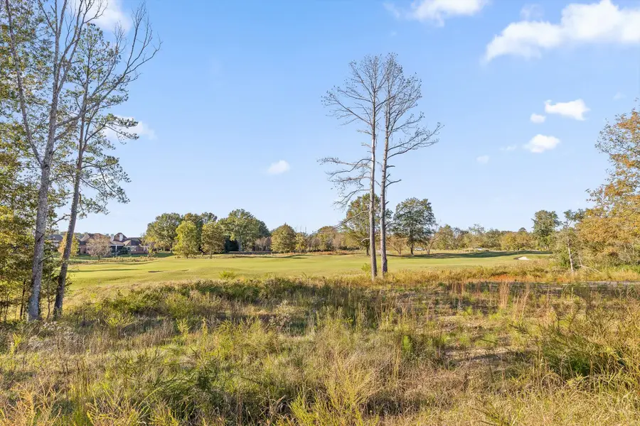 426 Council Creek Lane #Lot 16, Chattanooga, TN 37421 - Image #3