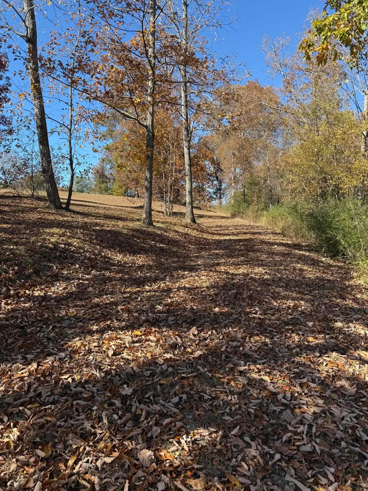 00 Scratch Ankle Road Road, Trenton, GA 30752 - Image #1