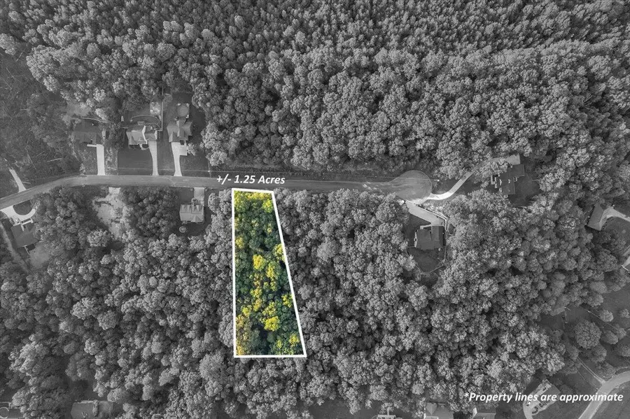 Lot 29 Highland Circle, Rocky Face, GA 30740 - Image #2