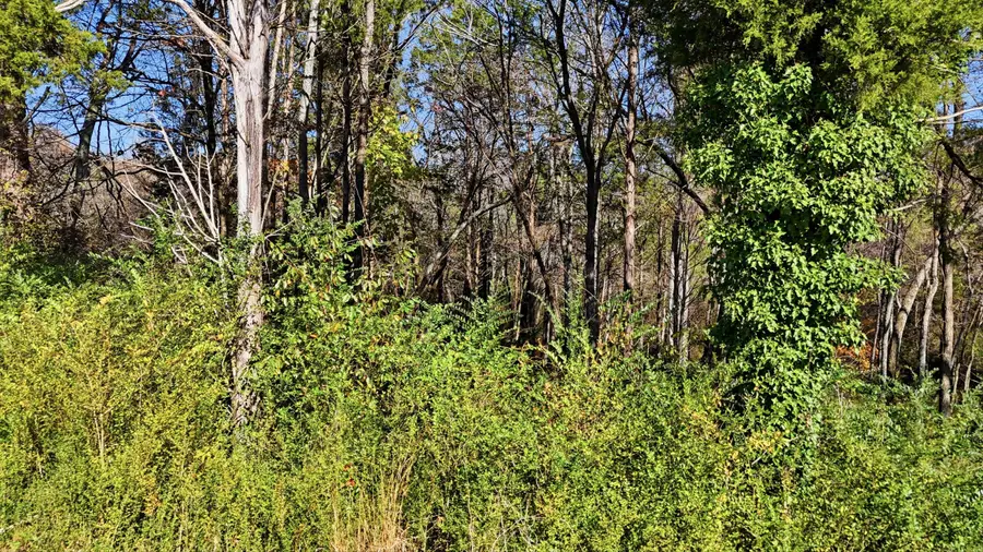 0 Sierra Drive, Dayton, TN 37321 - #3